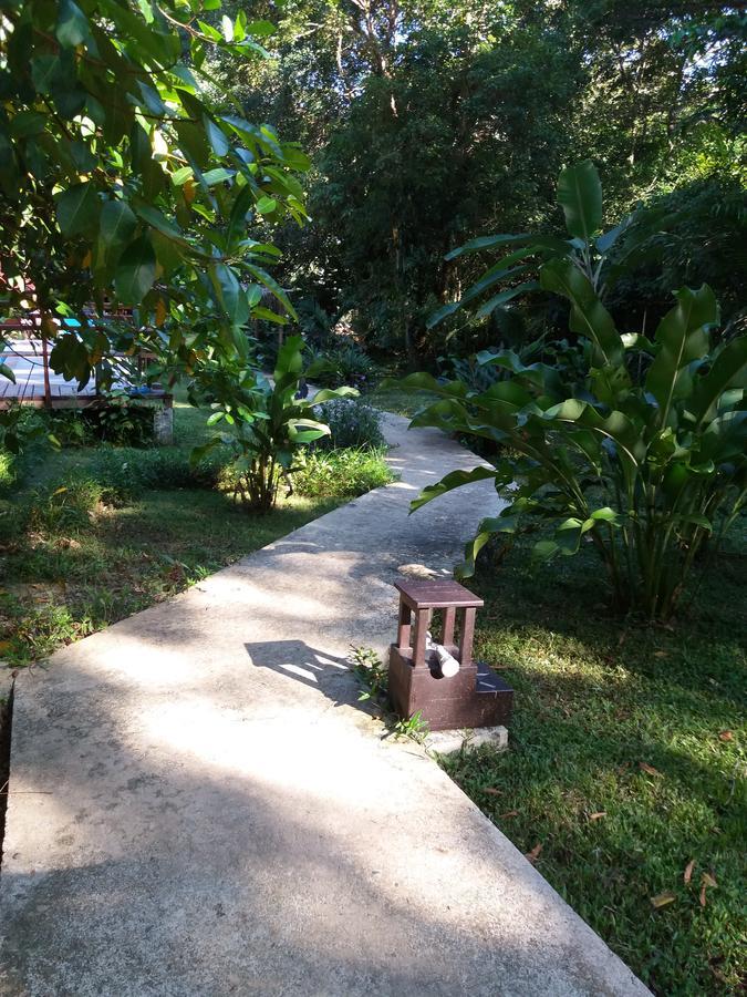 Villa Sevilla Big Creek Dış mekan fotoğraf