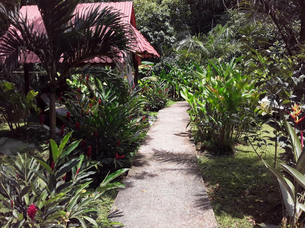 Villa Sevilla Big Creek Dış mekan fotoğraf