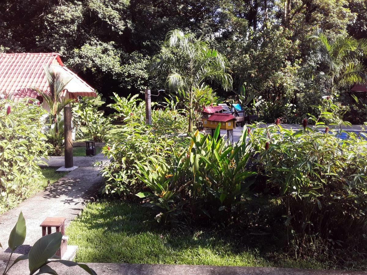 Villa Sevilla Big Creek Dış mekan fotoğraf
