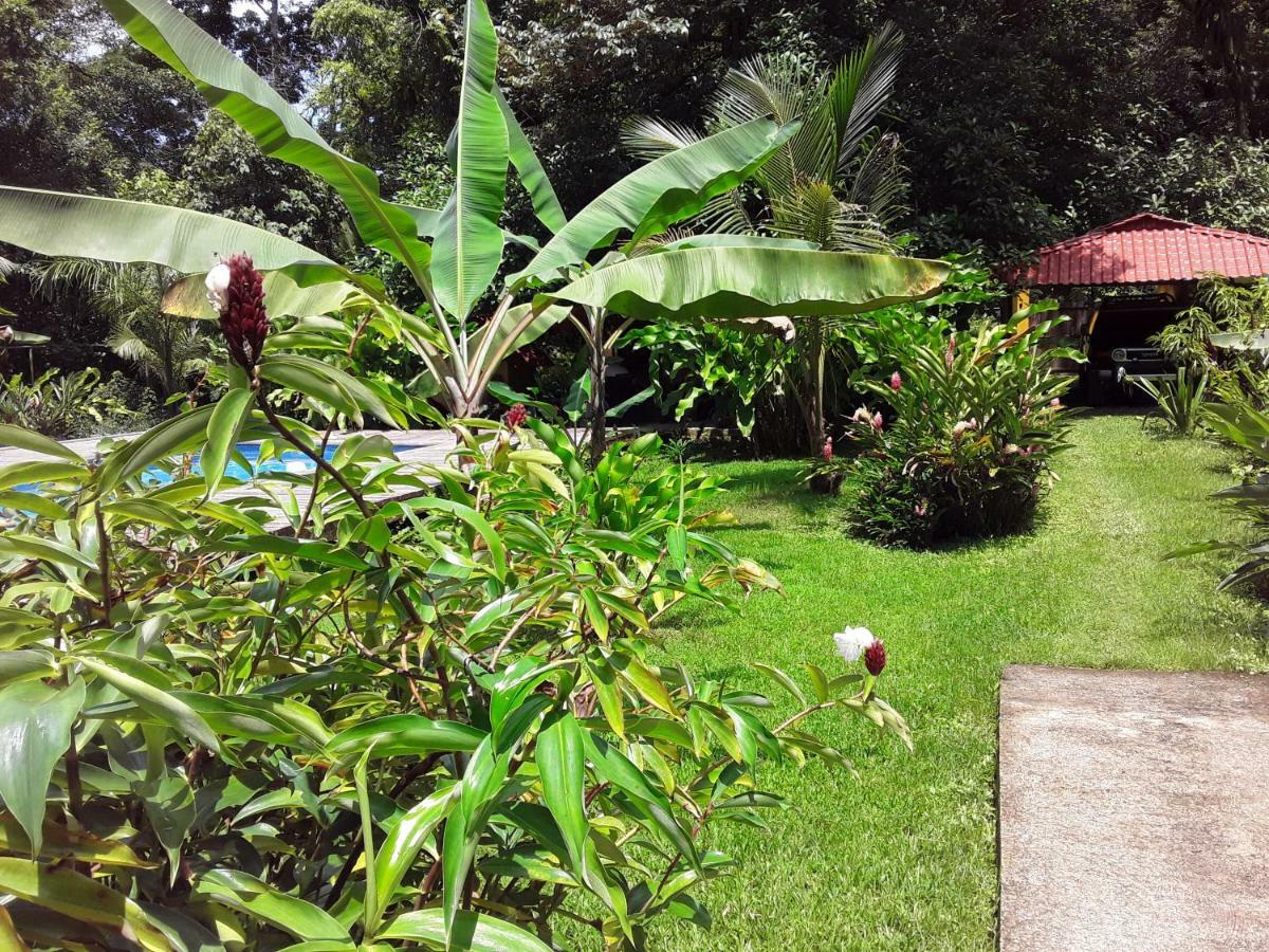 Villa Sevilla Big Creek Dış mekan fotoğraf